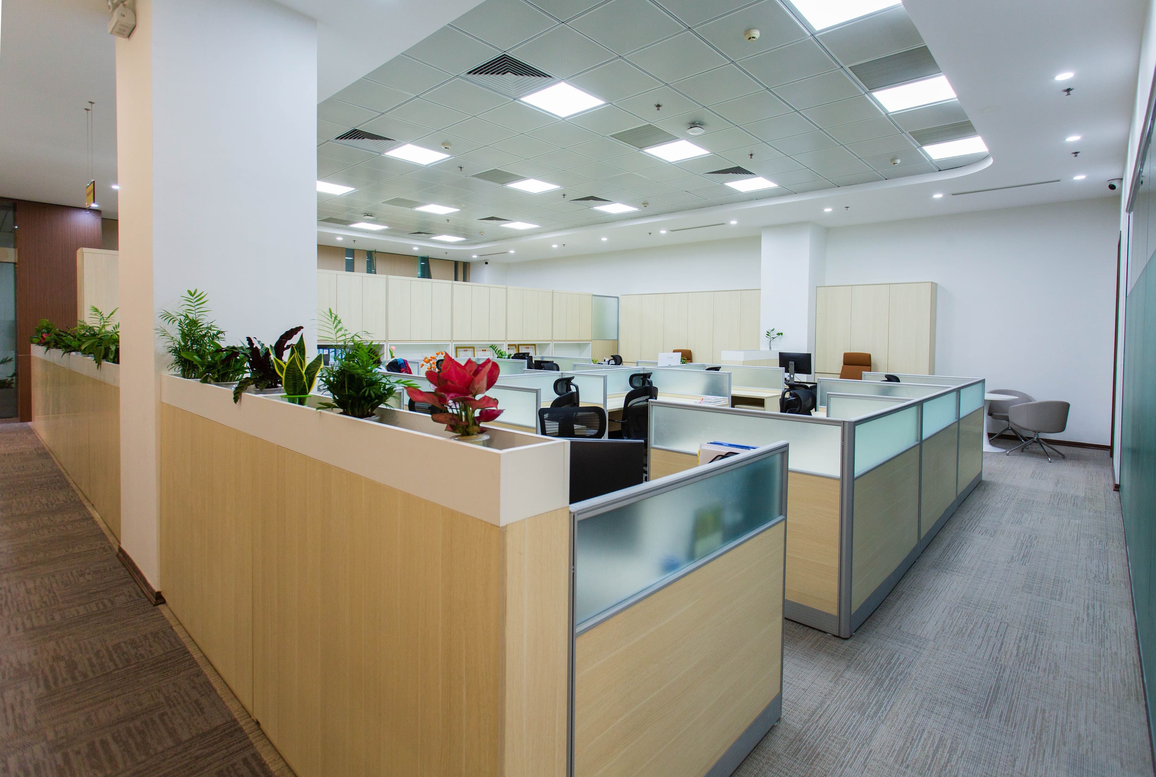 Carpet & Upholstery Refresh — Corporate Office