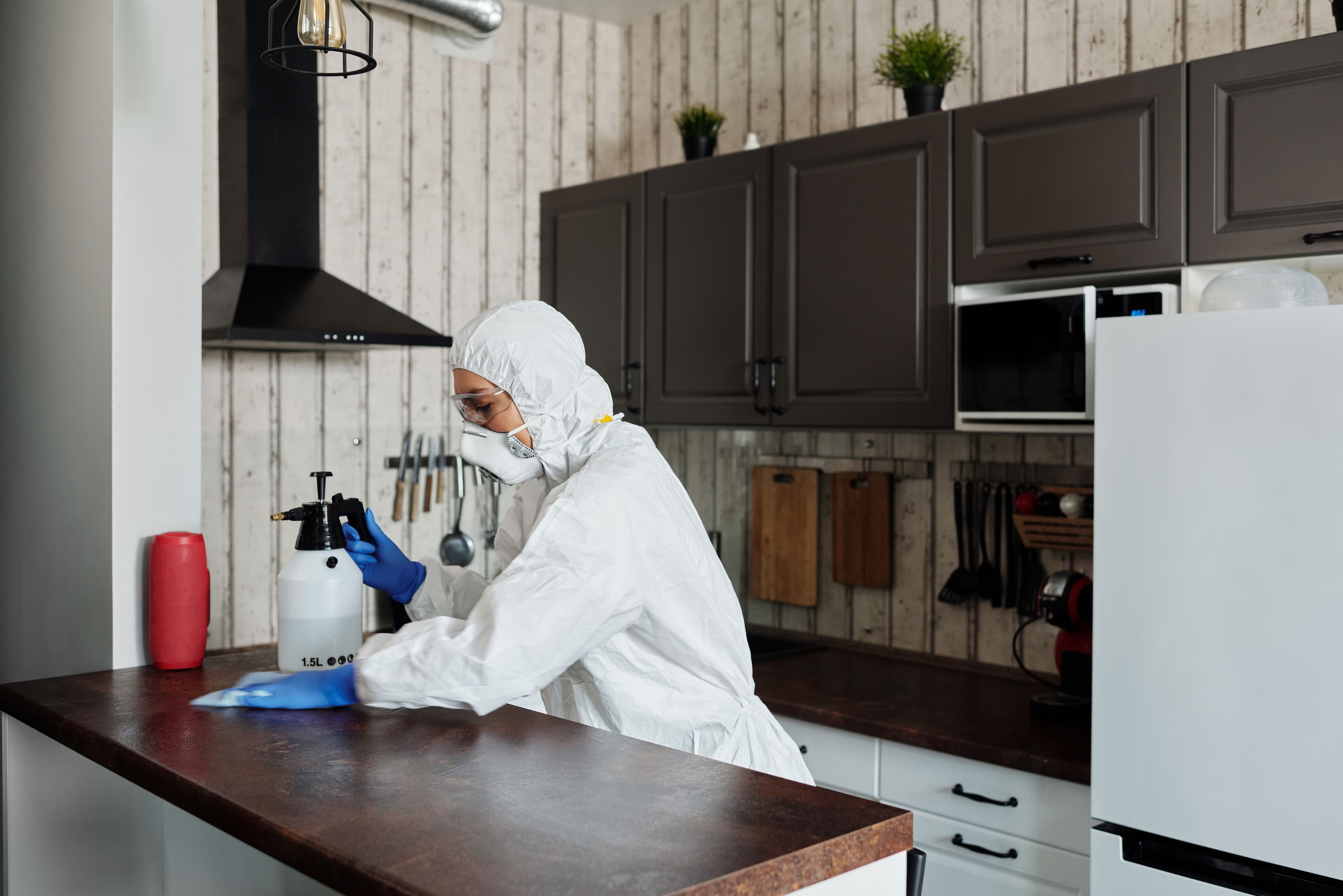 Disinfection & Sanitization